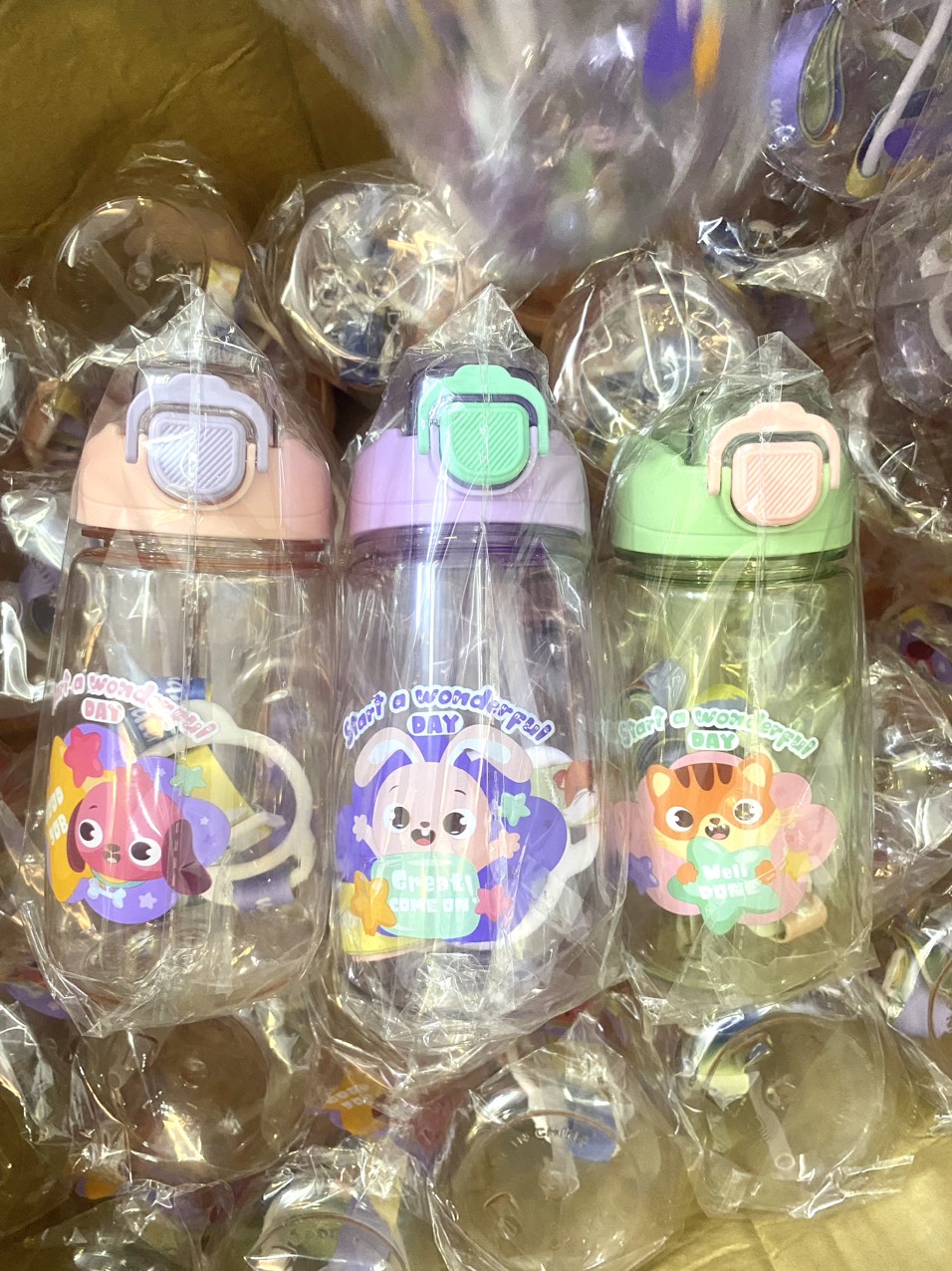 z5283149764053_db586324da64a50abbdadb73b964f5a6